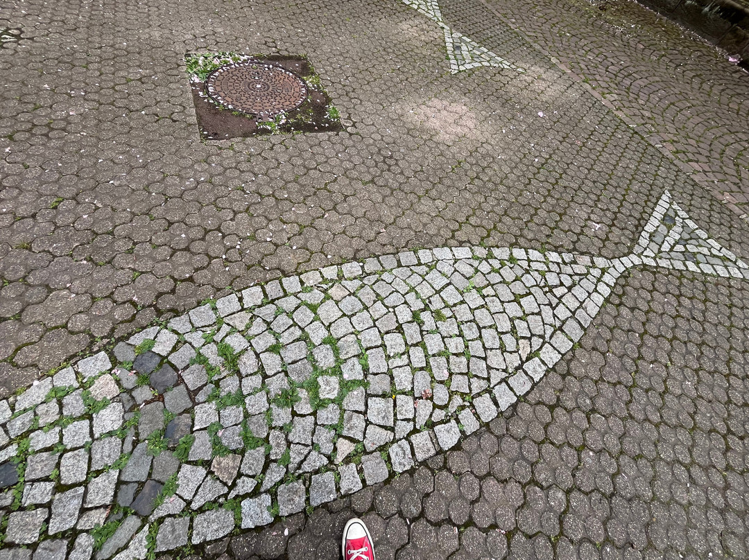 Vieille Ville-塞勒斯塔必去景点