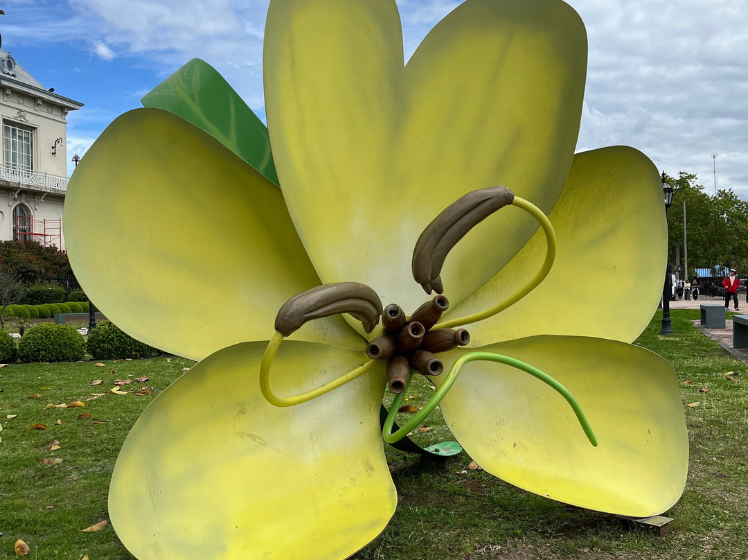 Museo de arte Tigre-蒂格雷必去景点