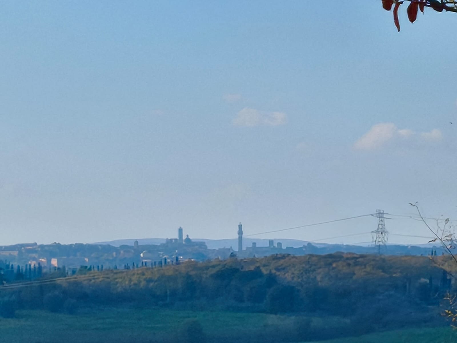 蒙塔培尔缇酒店-官方