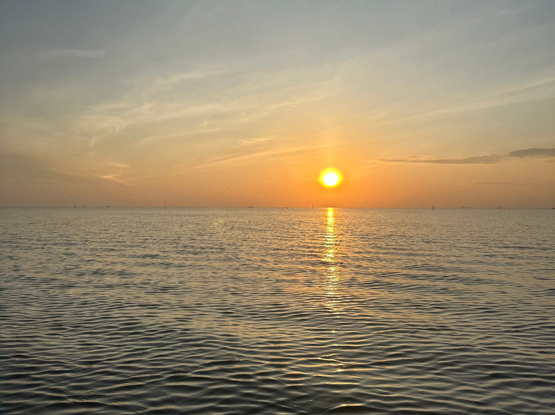 Thale Noi Waterbird Park-博他伦府必去景点