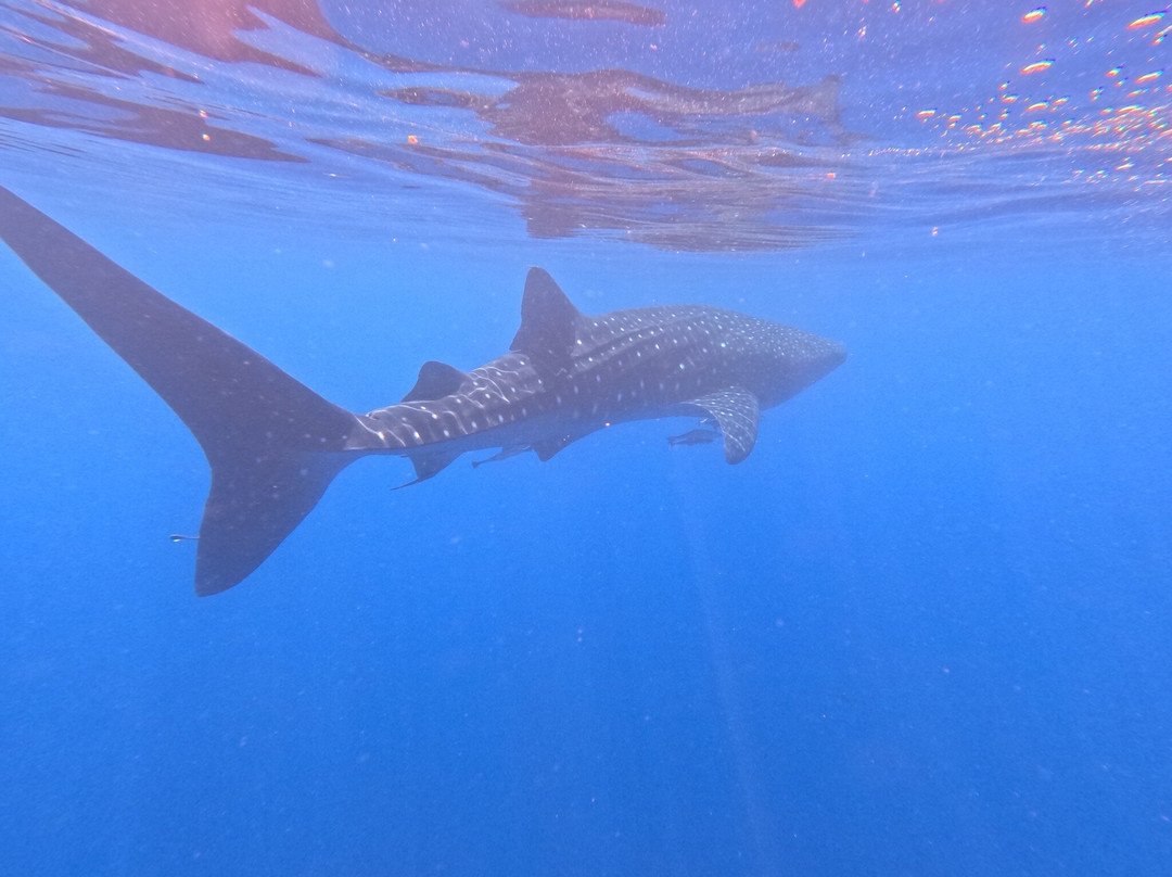 Colours Of Madagascar-Hell-Ville必去景点