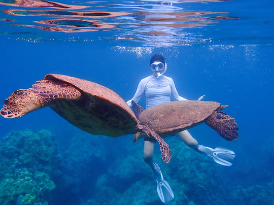 Tropical Guides & Outfitters-毛伊岛必去景点