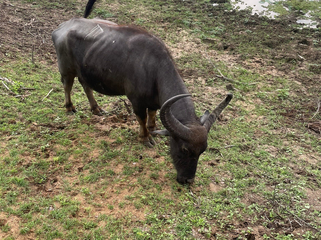 Freedom Safari Jeep Tours-蒂瑟默哈拉默必去景点