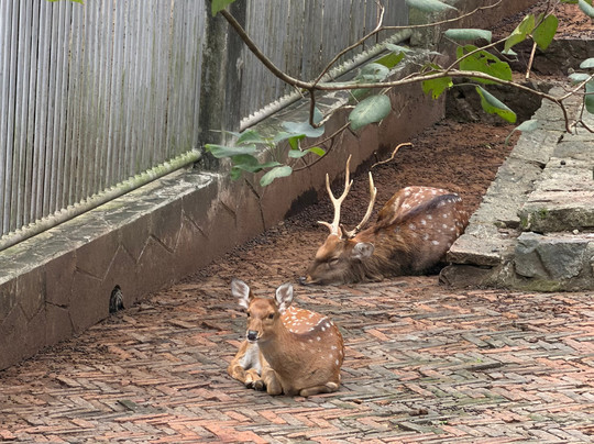 杭州动物园-杭州市必去景点