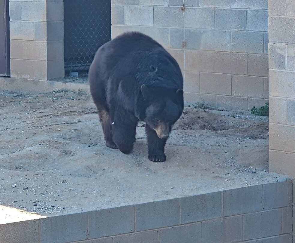 Wildlife World Zoo and Aquarium-Litchfield Park必去景点