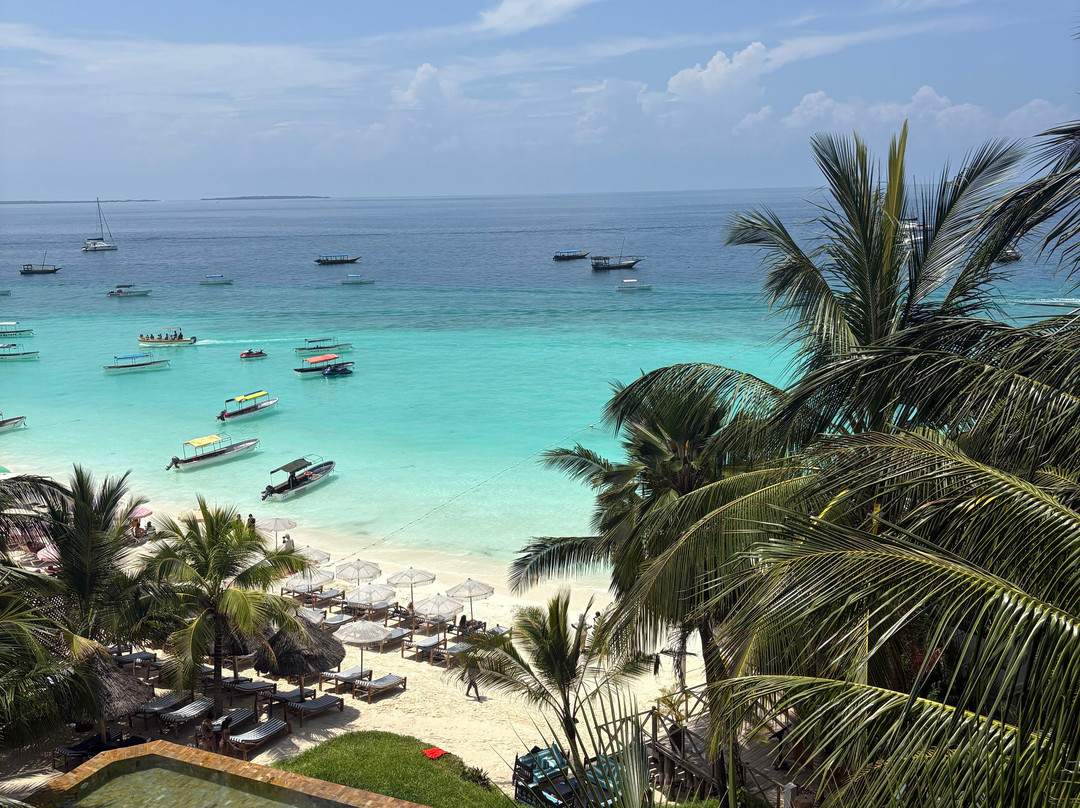 Z酒店-桑给巴尔主图