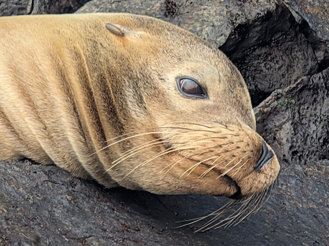 Aludi Travel-马丘比丘必去景点