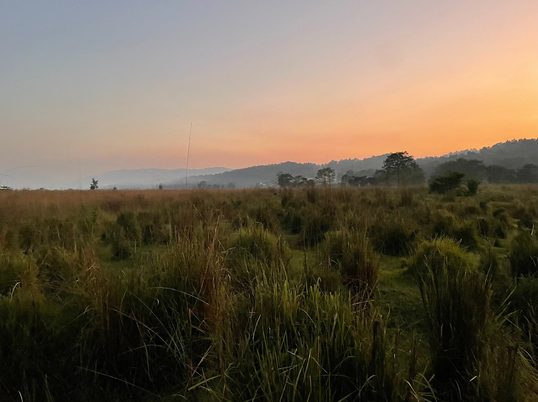 Nepal Dynamic Eco Tours & Services-奇旺国家公国必去景点