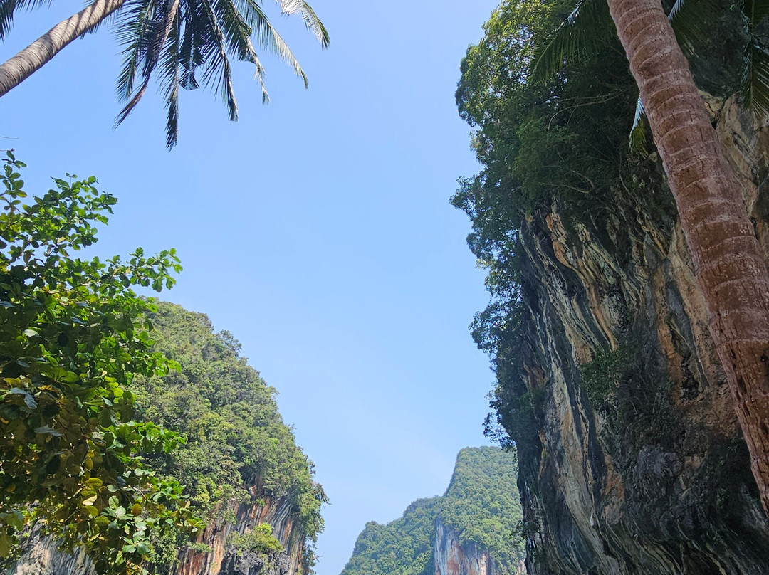 Phuket Seahorse Tours-卡伦必去景点