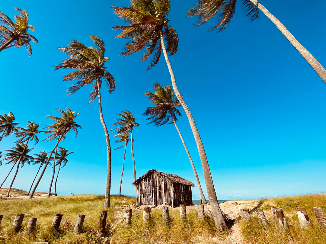 Jacarau酒店住宿-Pousada Manga Azul