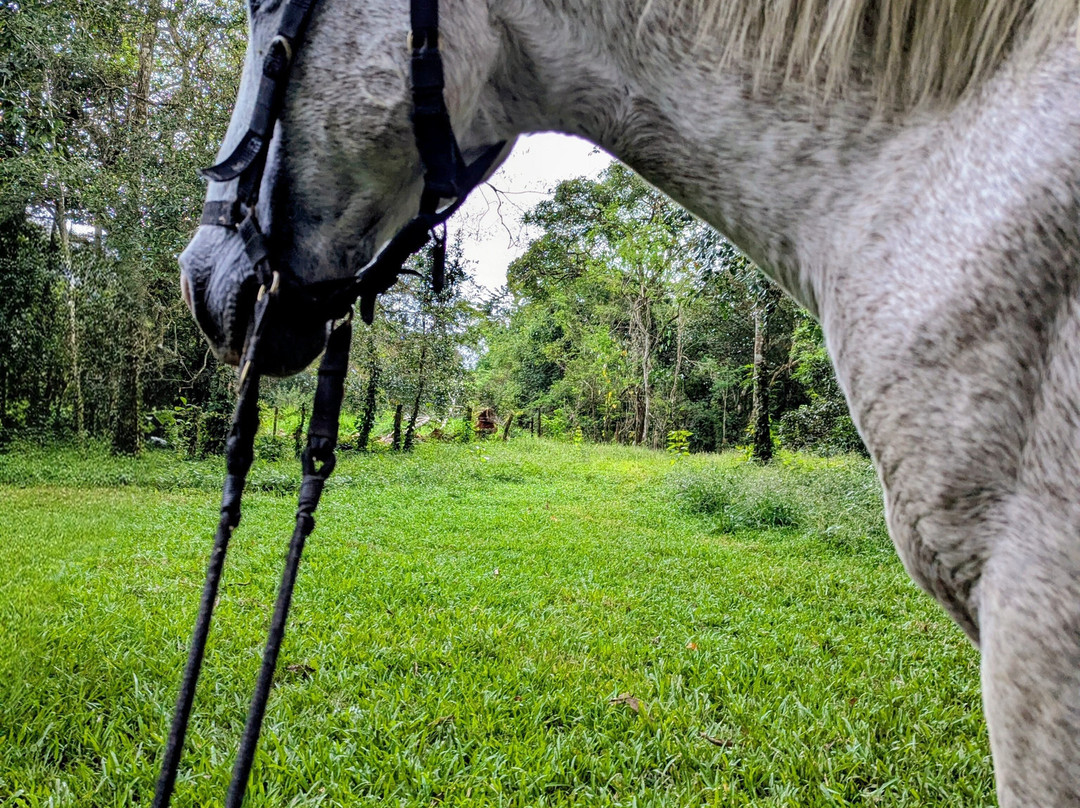 Franklin's Horseback Riding-波魁特必去景点
