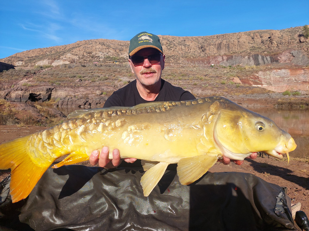 Carp Gran Canaria-San Bartolome de Tirajana必去景点