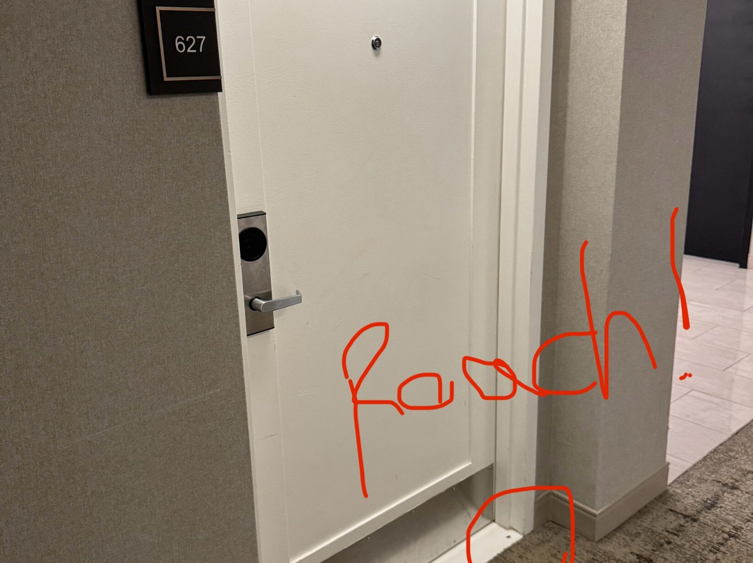 爱迪生拉里坦中心喜来登酒店主图