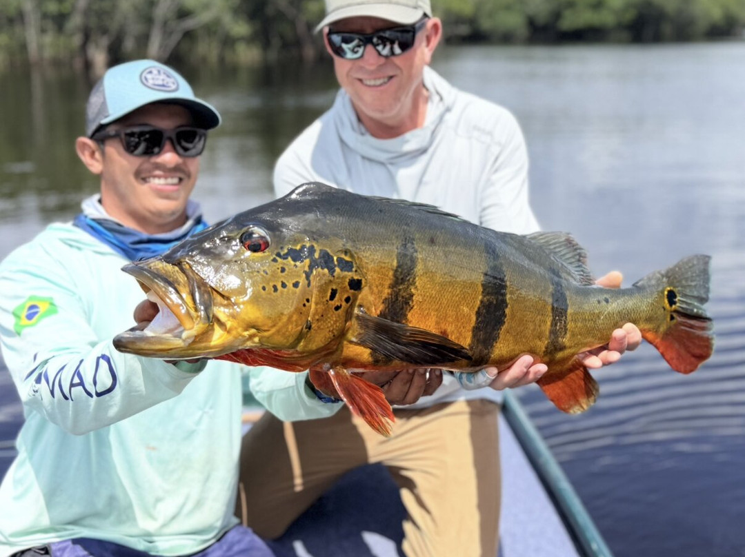 Nomadic Waters Brazil-玛瑙斯必去景点