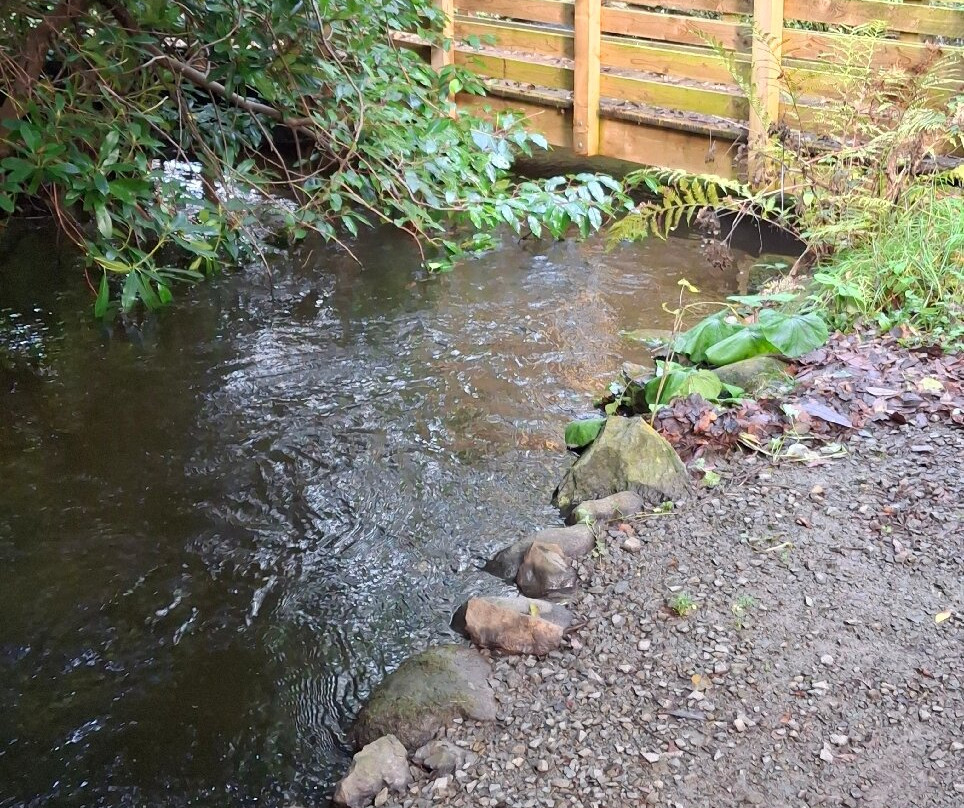 Conwy Water Gardens-Rowen必去景点