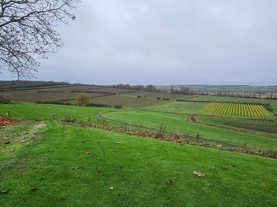 Charles Palmer Vineyards-Winchelsea必去景点