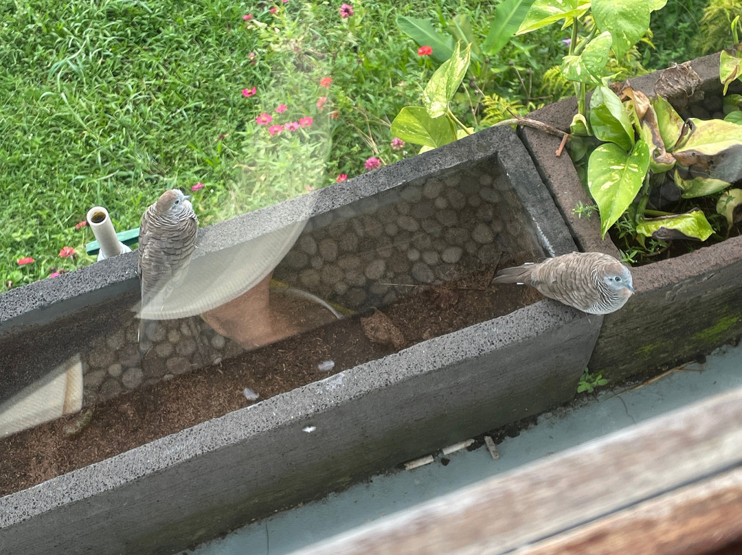 One Fit Wellness - Bali-Mambal必去景点