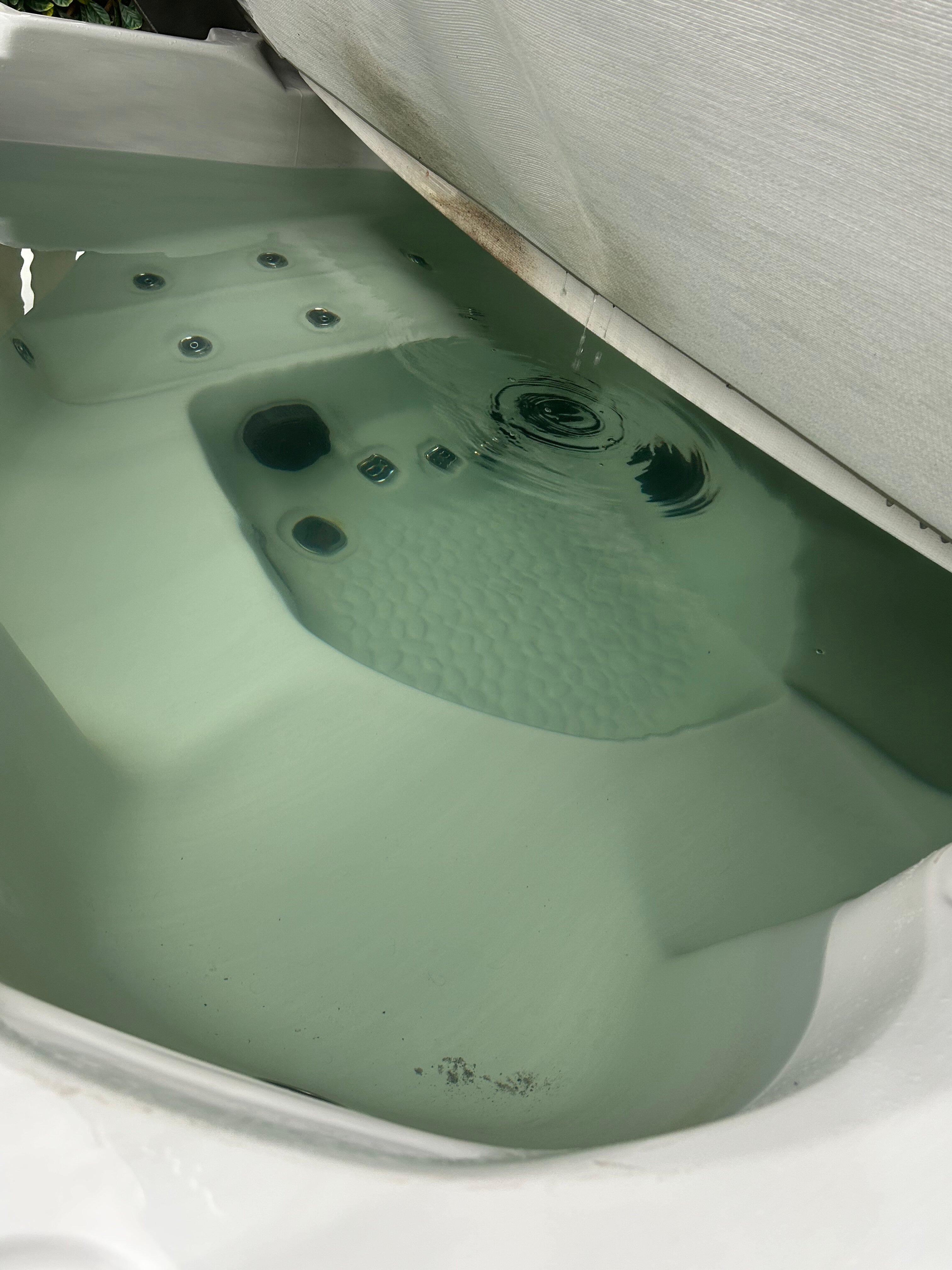 The Grey Gull Hotel-官方