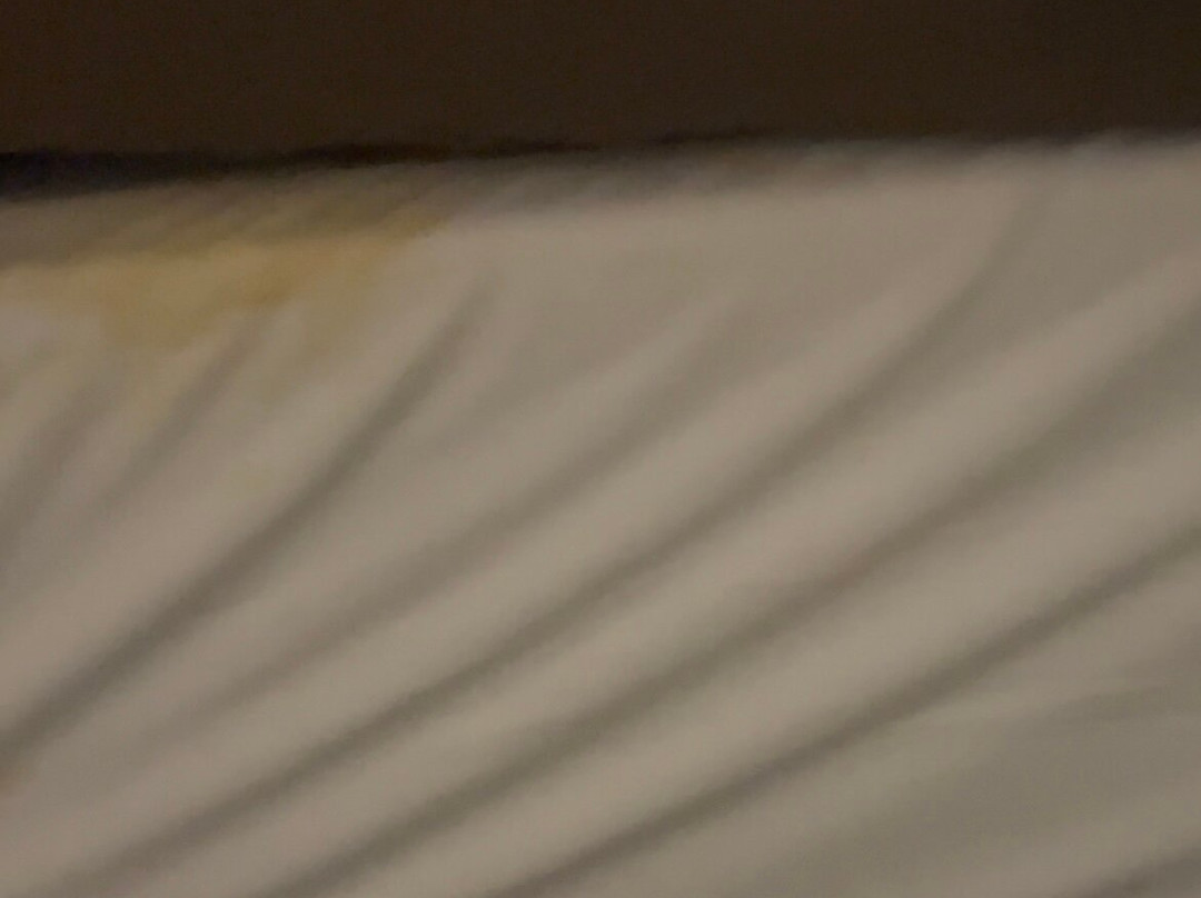 Green Bird Inn主图