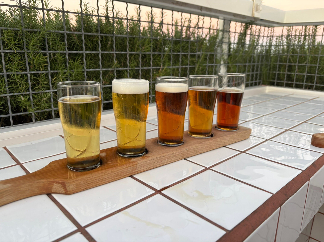 Farsons Brewery Experience-Birkirkara必去景点