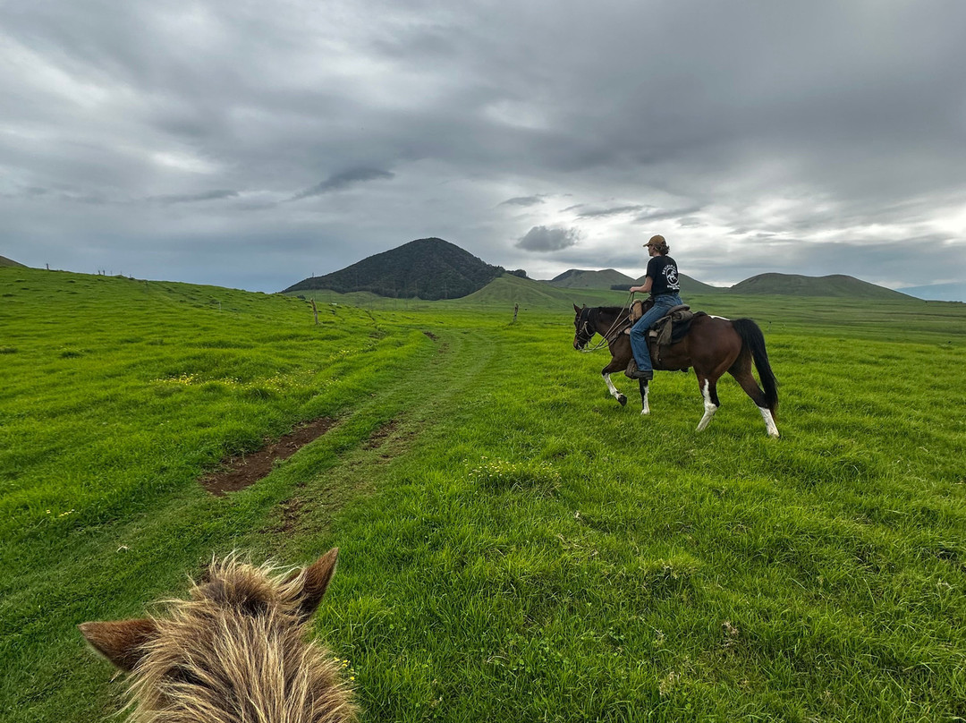 Na'alapa Stables - Kahua Ranch-卡慕也拉必去景点