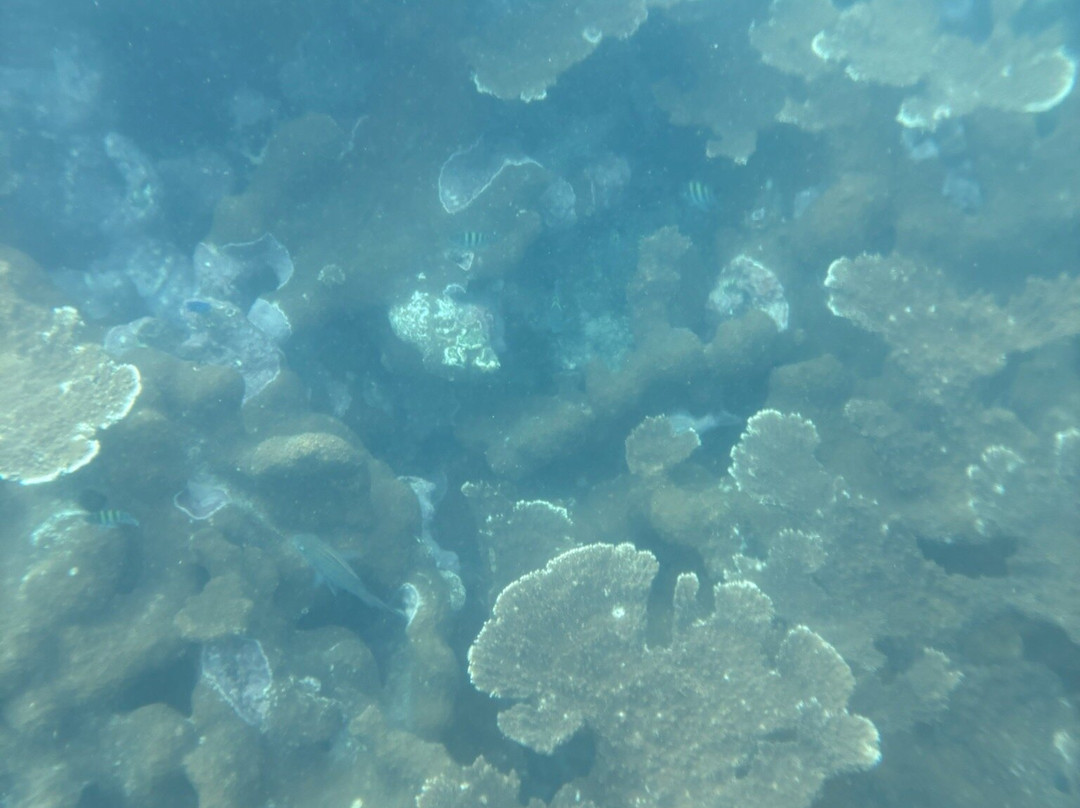 Manzanillo Adventure Tours-Manzanillo必去景点