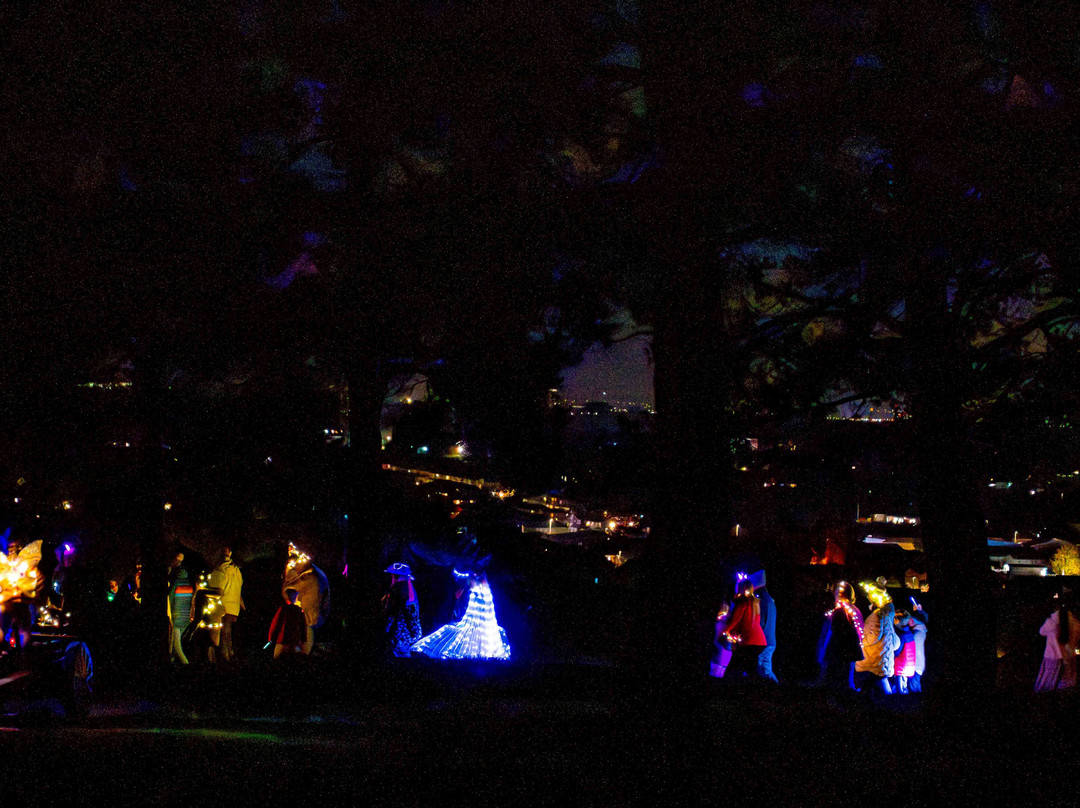 Faringdon Folly Tower and Woodland-Faringdon必去景点