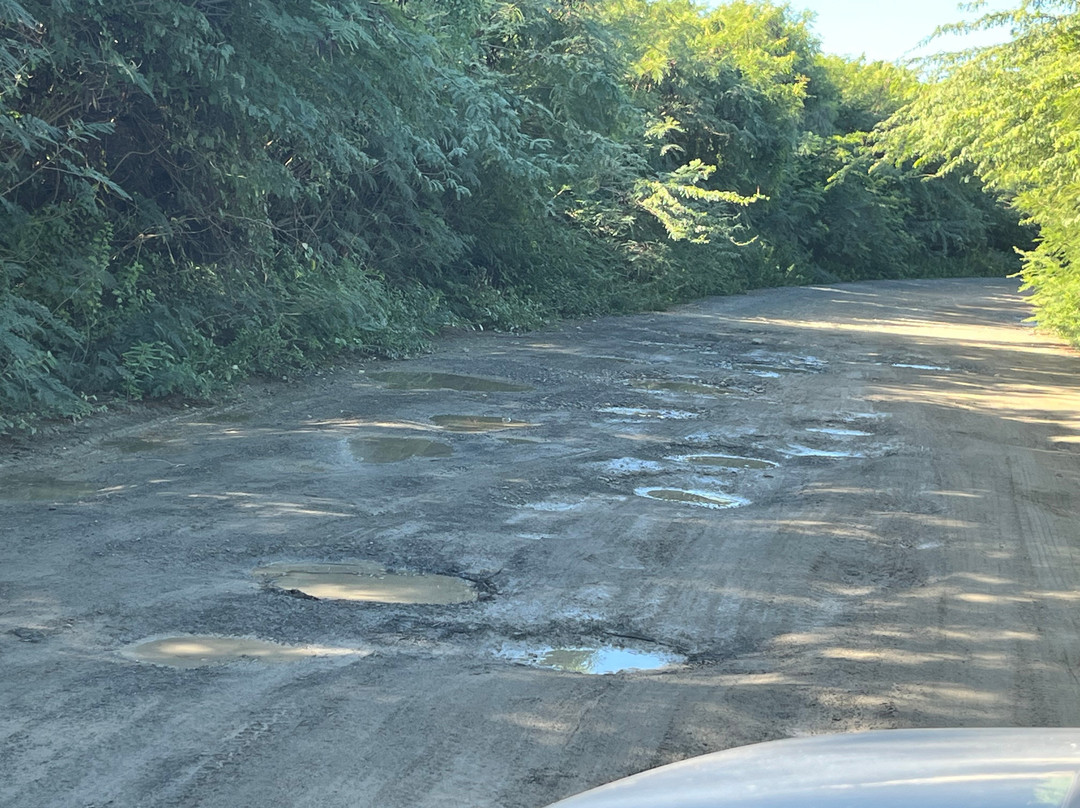 Vieques Island-维切克岛必去景点