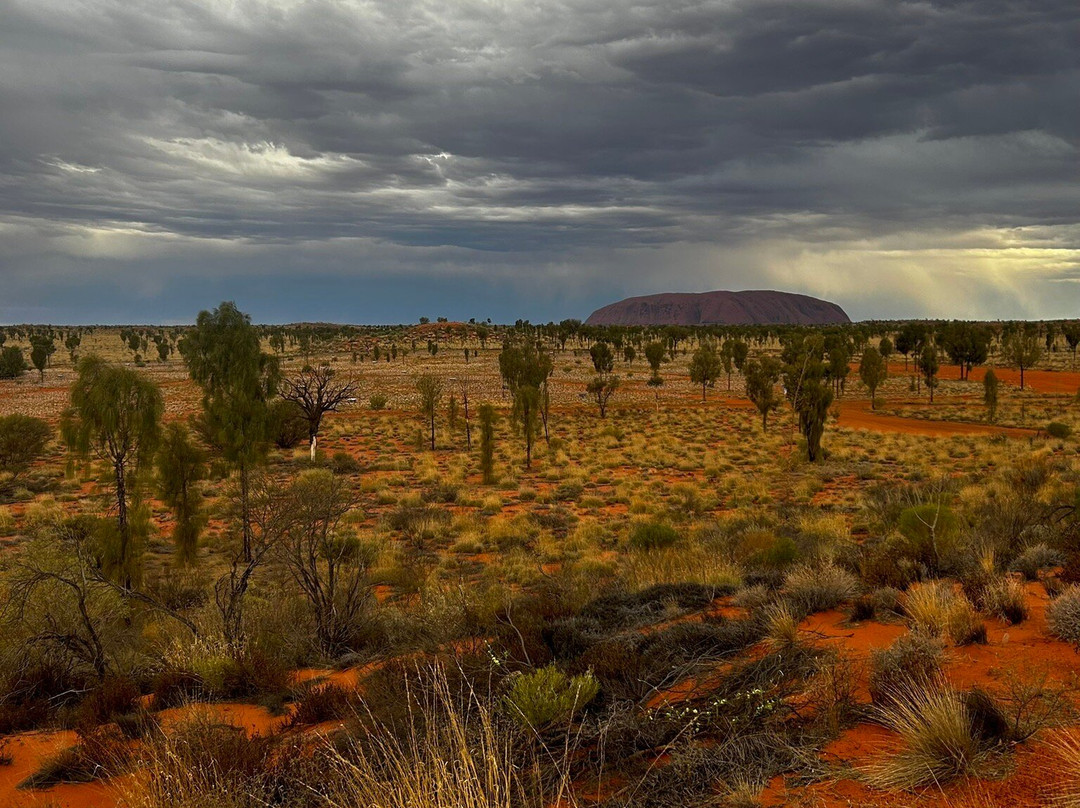 Field of Light-乌鲁鲁-卡塔丘塔国家公园必去景点