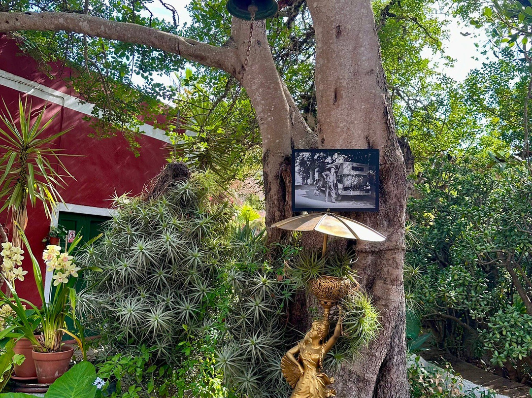 Bodega San Juan - Museo del Vino-Santa Brigida必去景点