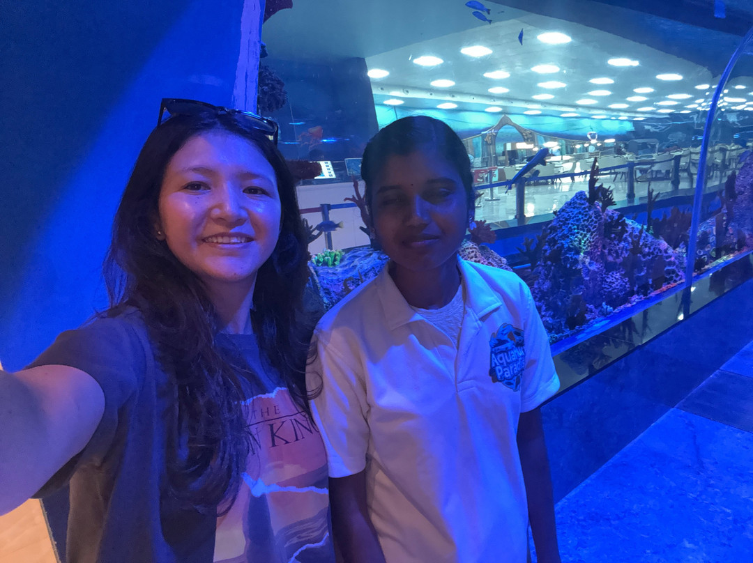 Aquarium Paradise-班加罗尔必去景点