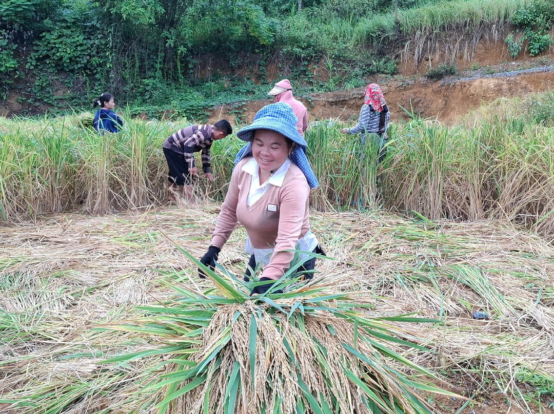 Capannam Travel-河内必去景点