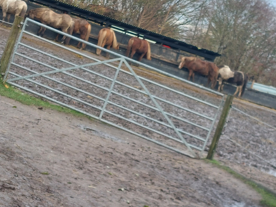 CPH:RIDE-德拉厄必去景点