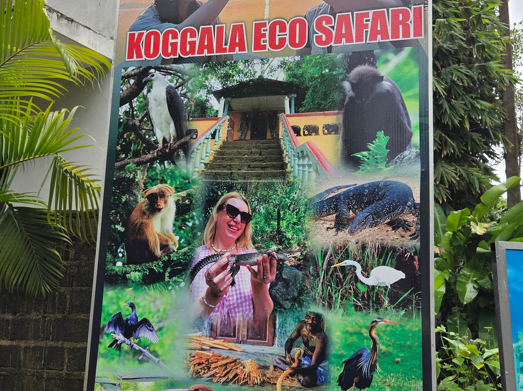 Koggala Lake Boat Safari-哈巴拉杜瓦必去景点