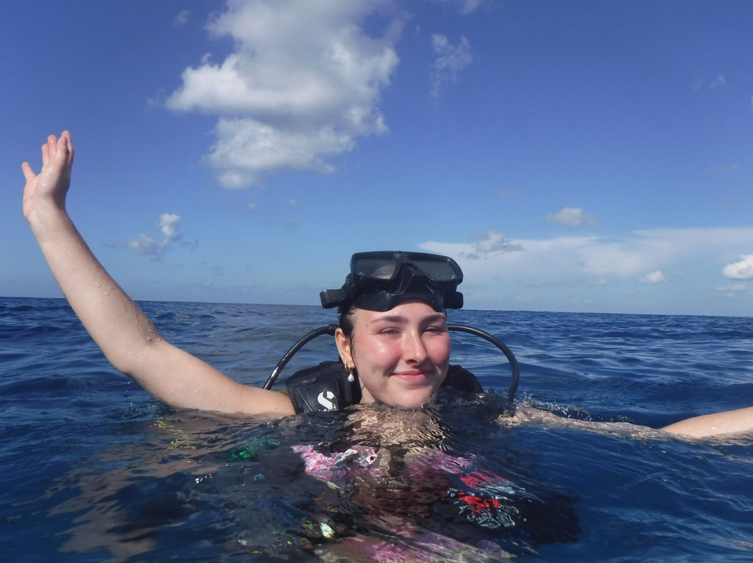 Off the Wall Divers-大开曼岛必去景点