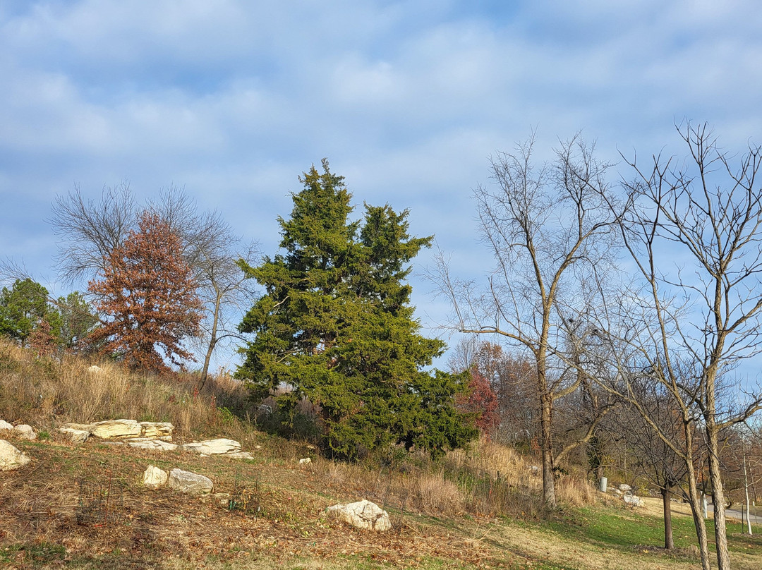 Stephens Lake Park-哥伦比亚市必去景点