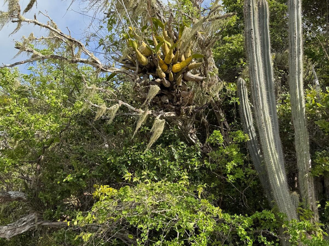 Christoffelpark-Sabana Westpunt必去景点