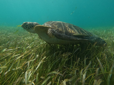 Lizeta Tours-Mahahual必去景点