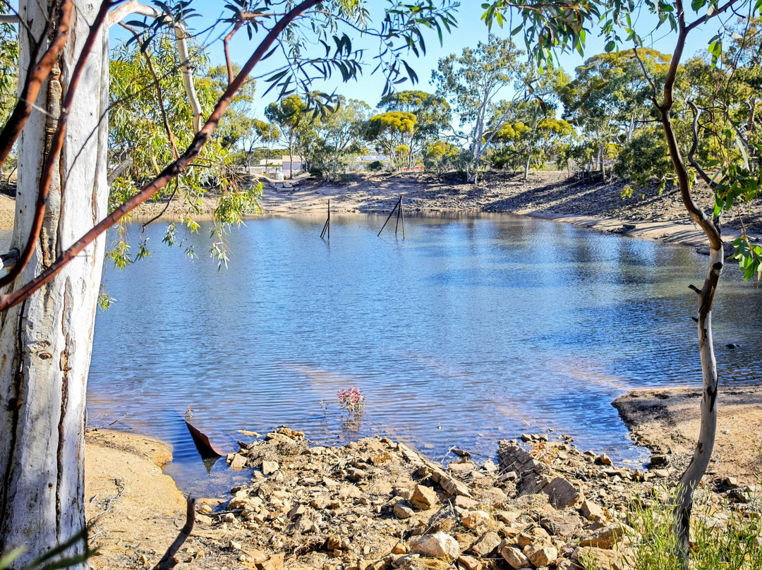 Merredin Peak-Merredin必去景点