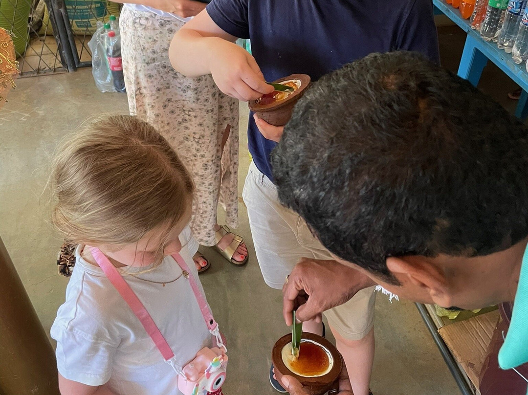 Travel with Wijaya-科伦坡必去景点