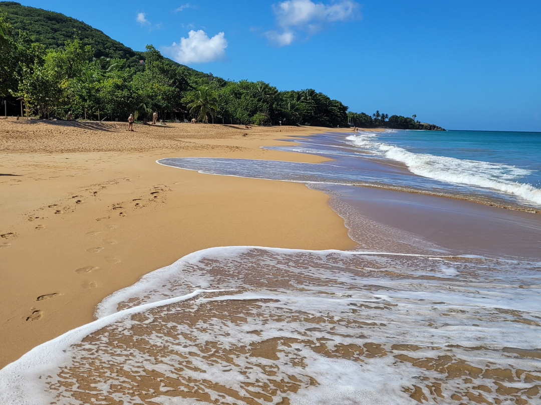 Plage de la Perle-Rifflet必去景点