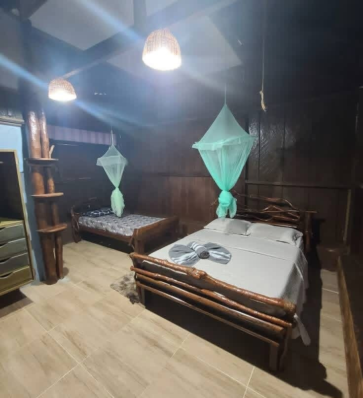 Amazon Brasil Jungle Tours-玛瑙斯必去景点