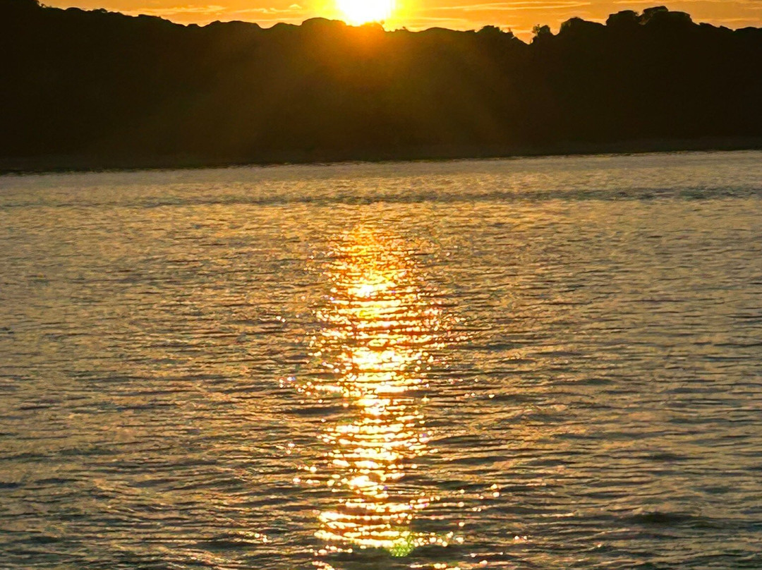 Wildlife Coast Cruises-考斯必去景点