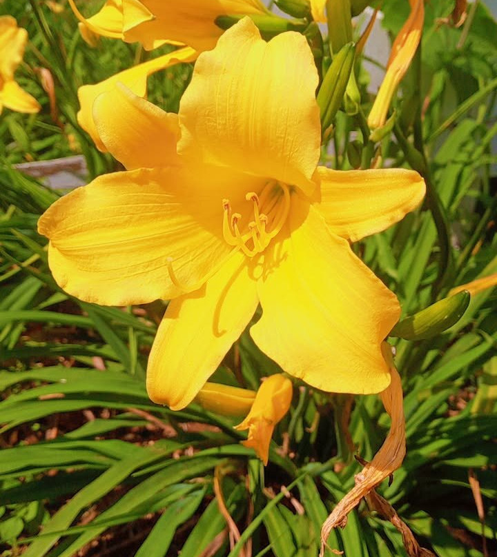 Sensory Garden Kenya-黎木鲁必去景点