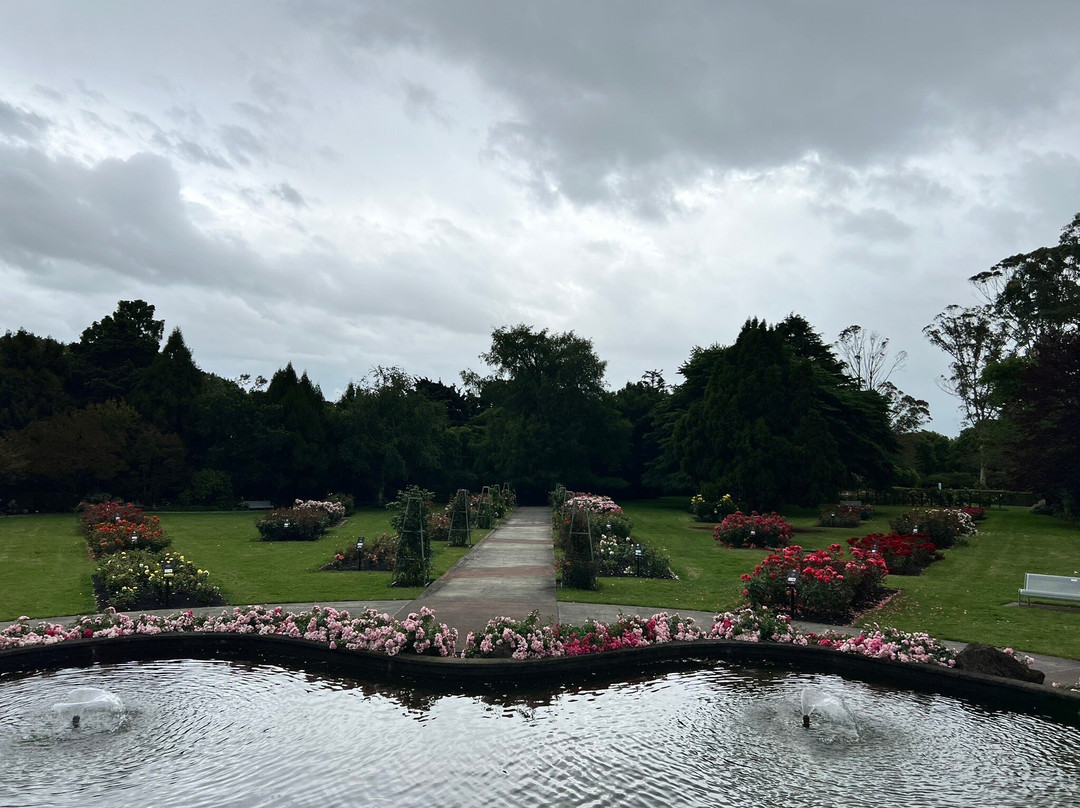Dugald MacKenzie Rose Garden-北帕墨斯顿必去景点