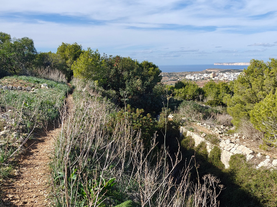 Victoria Lines-Madliena必去景点