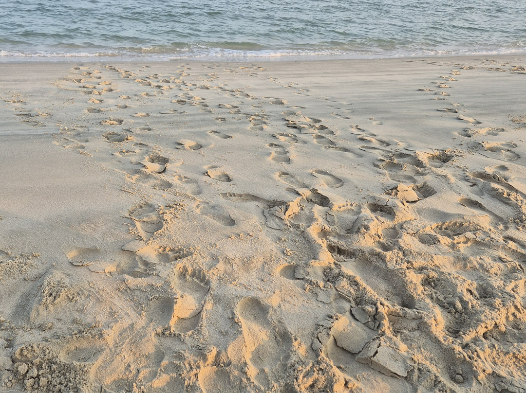 Al Majles Resort-多哈必去景点