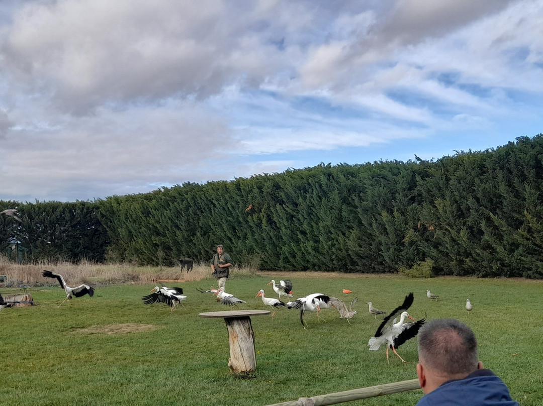 Tierra Rapaz-Calahorra必去景点