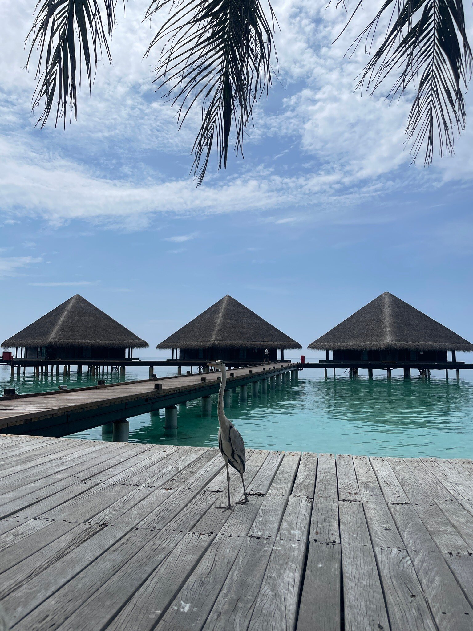 阿达兰瑞娜丽度假村-官方