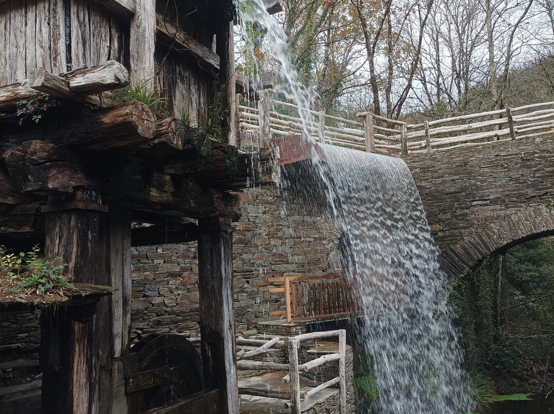 Museo Molinos Mazonovo-Taramundi必去景点